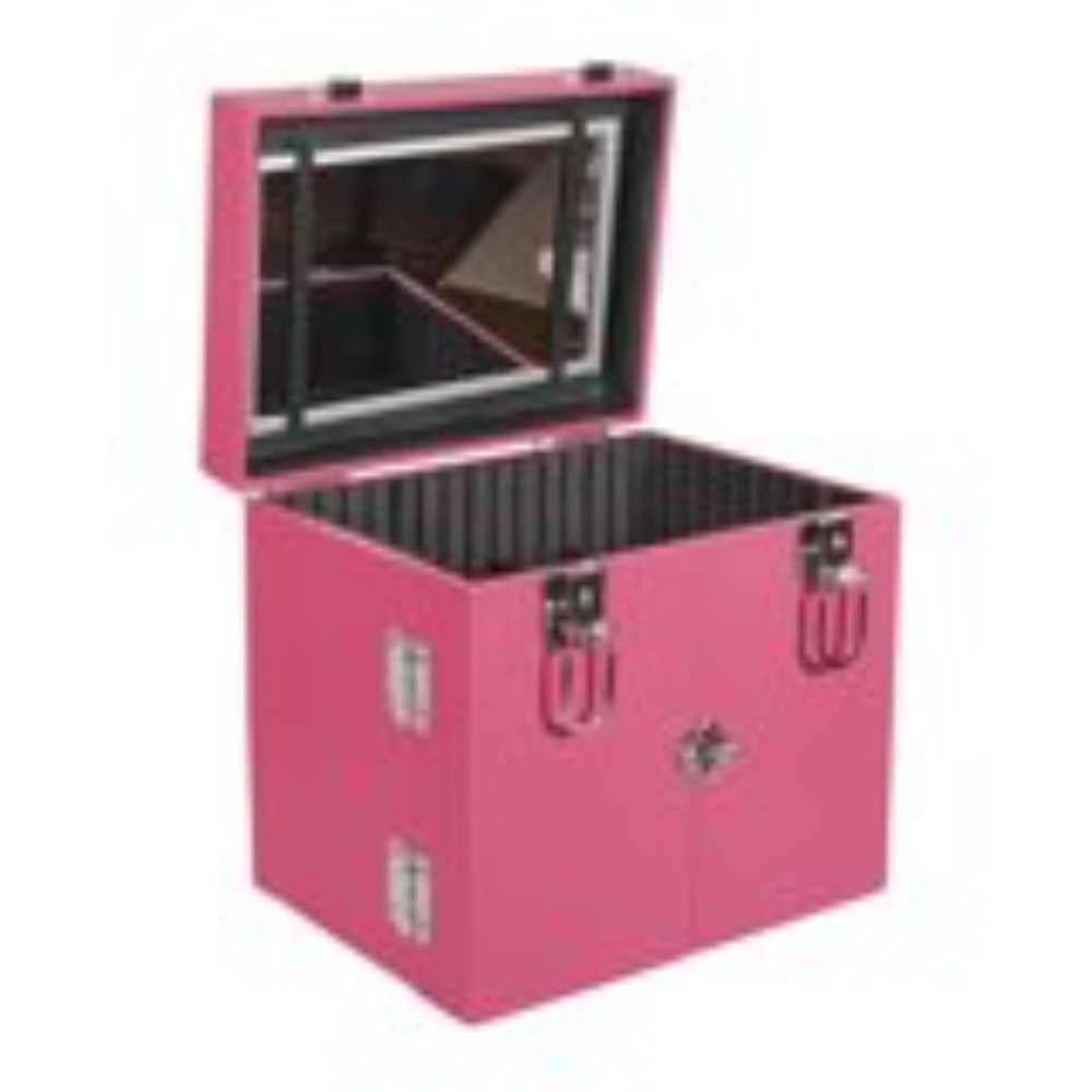 Makeup Train Case Cosmetic Jewelry Organizer with Brush Holder and Mirror